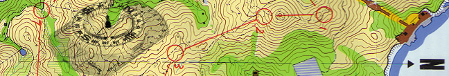 orienteeringlogo.jpg (2600 bytes)